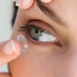 Ocular