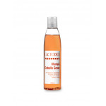 Lactodiol Champú Cabello Graso 250ml Lactodiol Champú Cabello Graso 250ml