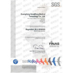 Gangrong Mascarilla FFP2, blanca (caja 50uds)