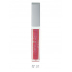 
Color Lip Gloss: 01