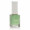 Menta